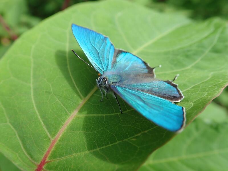 プライベートでも活躍！メンバーの様々な一面を紹介