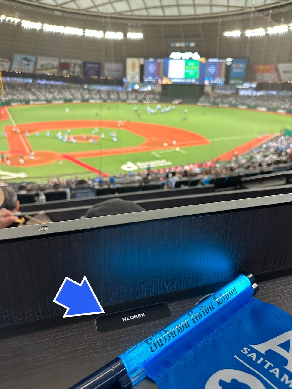 シーズンシート！【西武ライオンズ、ベルーナドーム】