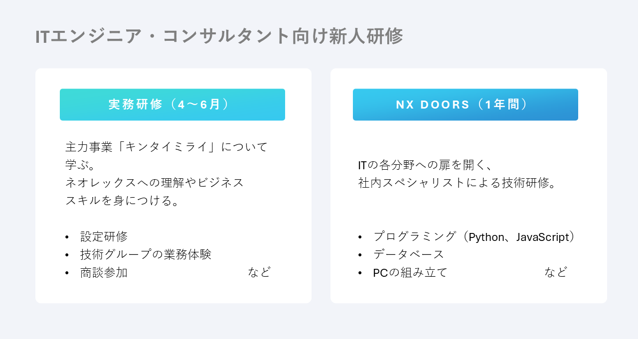 ネオレックスの新人研修（実務編）